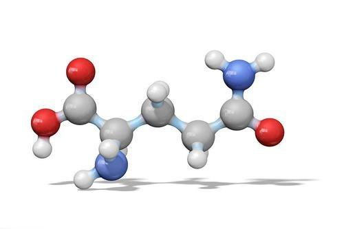 Amino Acid Premix
